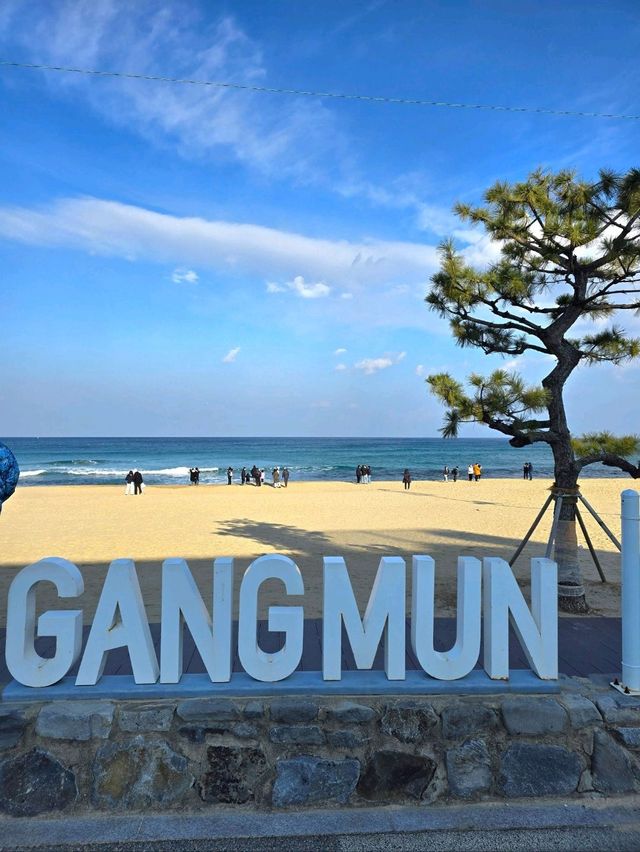 겨울바다의 아름다움이 가득한 강릉해변💙