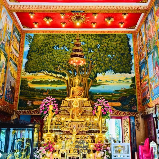 💯 วัดชมภูเวก