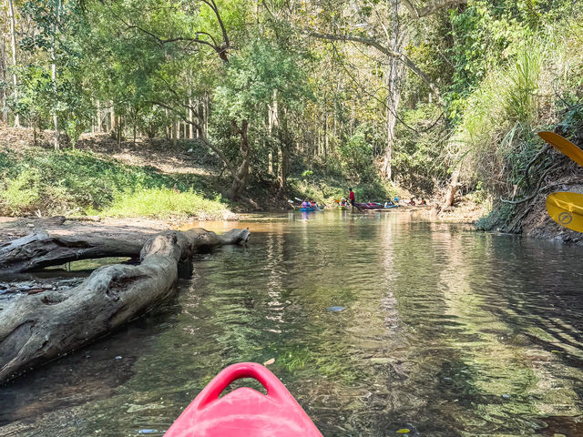 พายเรือคายัค น้ำผุดธรรมชาติบ้านท่าช้าง เขาใหญ่ 🛶🌳