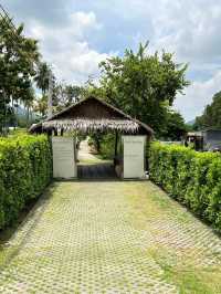 Serene House Cafe