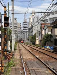 🇯🇵東京特色尋寶之地 – 巢鴨🪿地藏通商店街