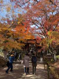 京都｜盡顯禪意之美-常寂光寺 風水布局與神佛傳說