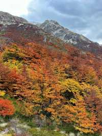 สัมผัสความสวยงามของเส้นทาง Patagonia 
