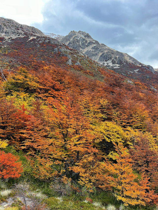 สัมผัสความสวยงามของเส้นทาง Patagonia 