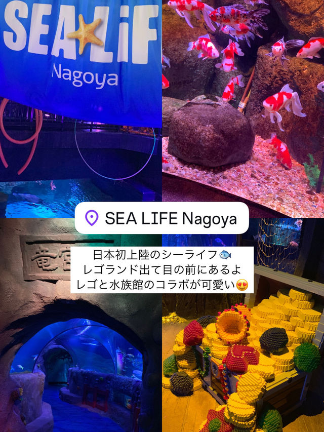 名古屋で行きたい最新スポット✨