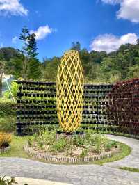 Hues of Winter at Betong Flower Garden