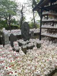 貓奴必去打卡點-豪德寺