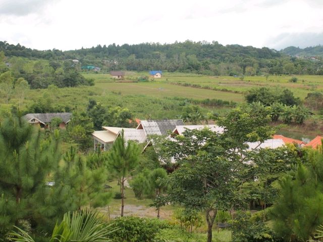 ร้านอาหารบ้านนายต๋อย