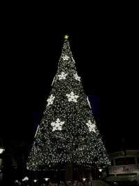 Magical Christmas DisneySea 2024