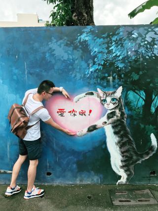 貓奴們，你們的下一個旅行目的地就在這裡！