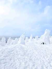 青森で樹氷を見よう