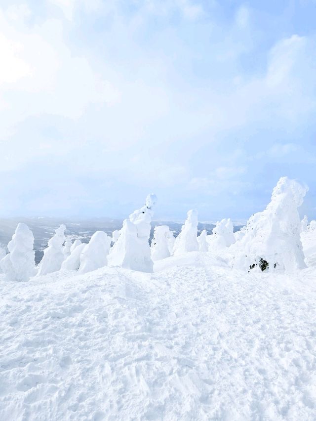 青森で樹氷を見よう