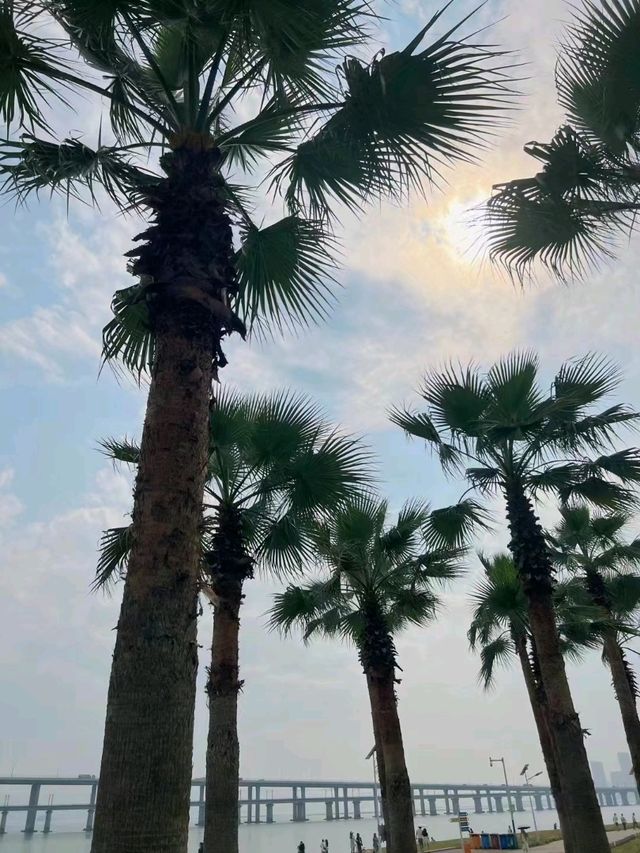 📍Xiamen