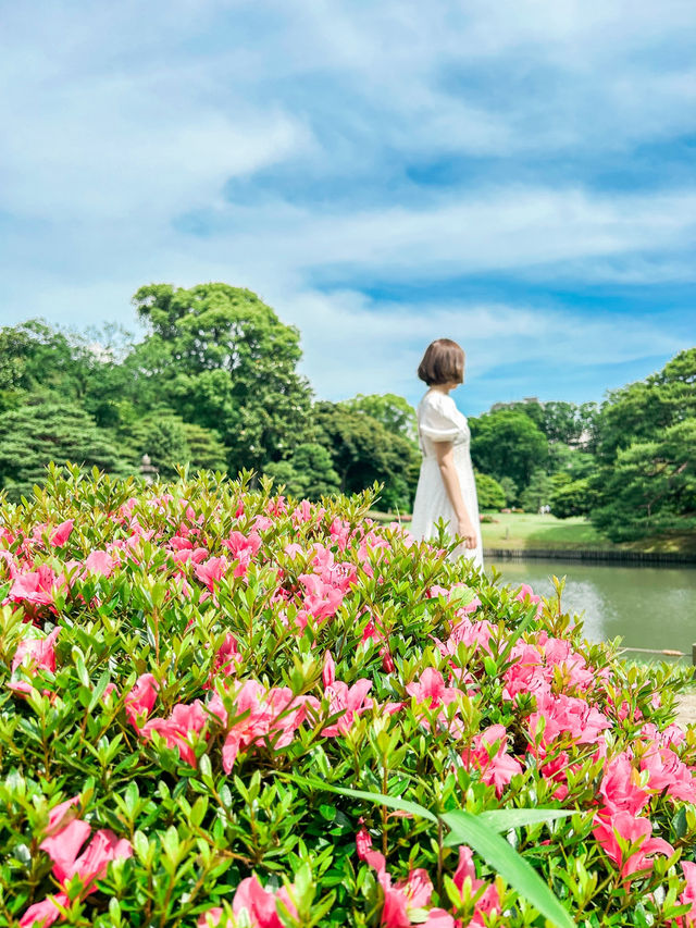 桜、紅葉、アジサイ…四季を感じられる東京の庭園