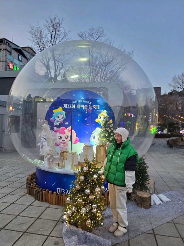 태백산 눈꽃축제가 열린 태백 황지연못🩵