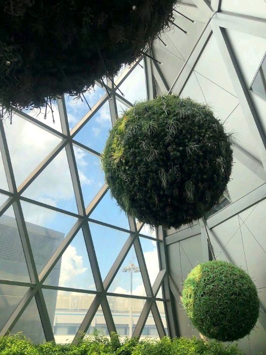 Jewel Changi Airport
