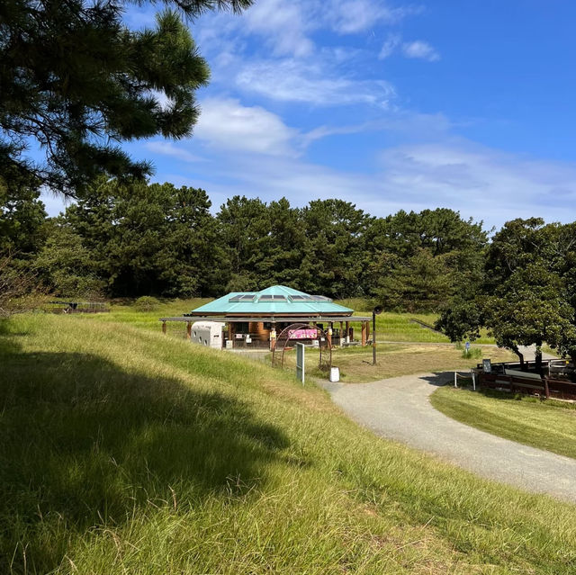紅色波波草的夢境 🌈天空公園