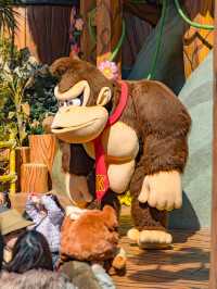 รีวิวอัพเดทโซนใหม่! USJ “Donkey Kong Country”🐵