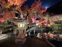  Nocturn Delights at the Eikando-ji Temple in Kyoto