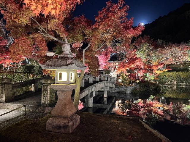  Nocturn Delights at the Eikando-ji Temple in Kyoto