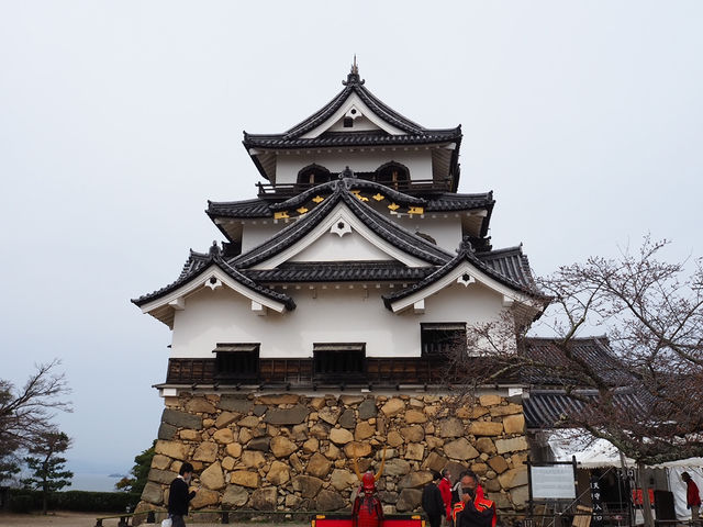 【滋賀・彦根】彦根城🏯