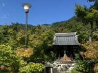 A Tranquil Stroll Through Eikando: Kyoto’s Hidden Gem