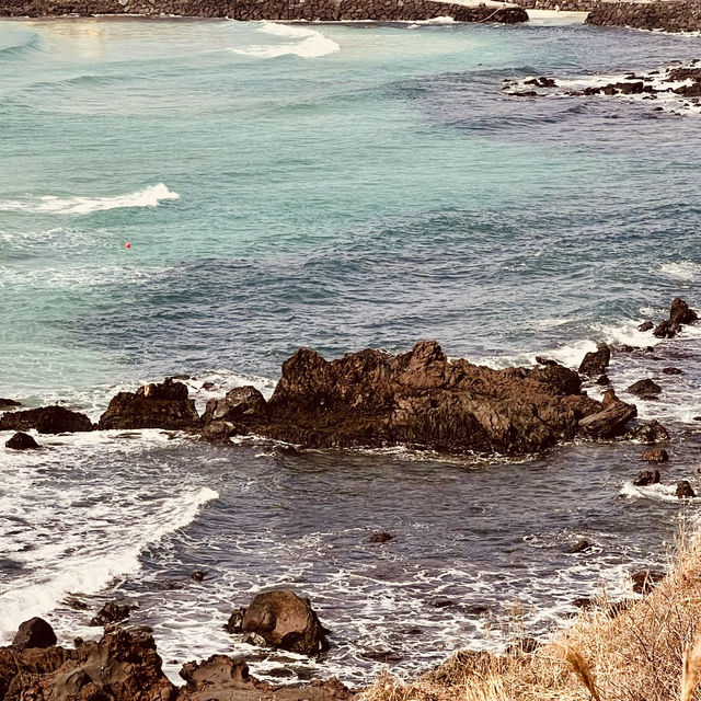 Olle Trail's Prettiest Spot 🚶‍♀️🌊  