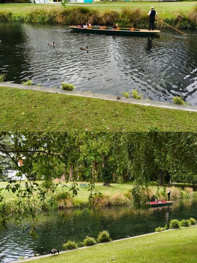 花園城市內的基督城植物園