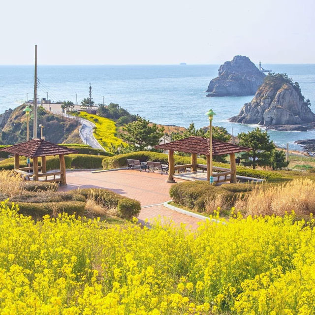 Oryukdo Skywalk (Busan)