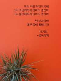 💕💞원주 - 얼음절벽 까페 스톤크릭