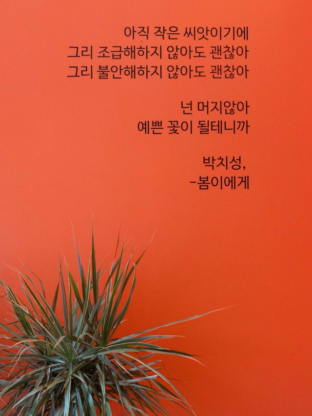 💕💞원주 - 얼음절벽 까페 스톤크릭