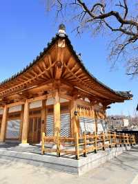 전주 여행가면 꼭 가봐야할 덕진 공원과 연화정도서관