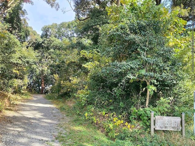 Minami Park (南公園)