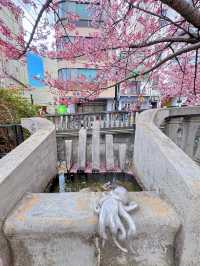 【熱海】河津桜より早い?!🌸お花見でやるべき3つのこと