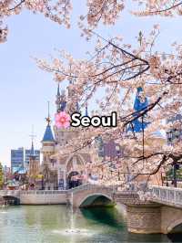 Top Spring Destinations in Korea🌸