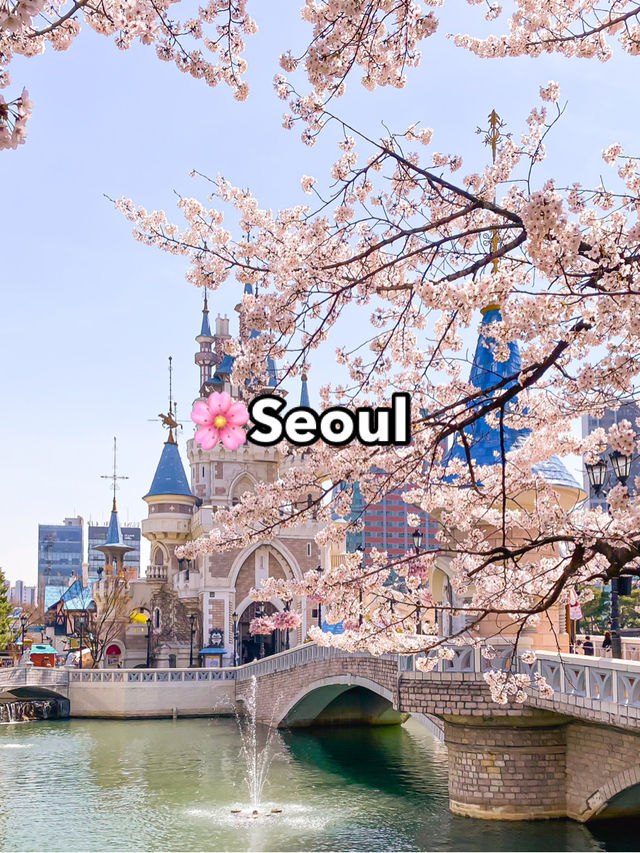 Top Spring Destinations in Korea🌸
