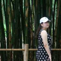 ถ่ายรูปที่อุโมงค์ป่าไผ่ นครนายก