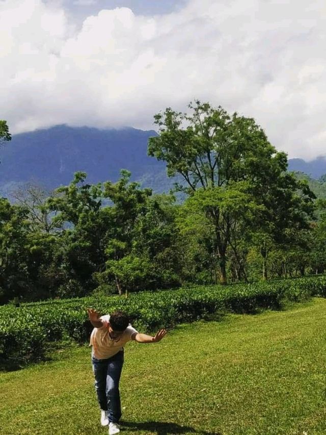 Spring outing into the Tea Farm 🌼