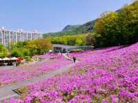 Buramsan Butterfly Park Flower Festival Review