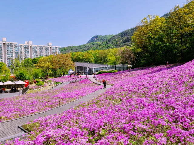 Buramsan Butterfly Park Flower Festival Review