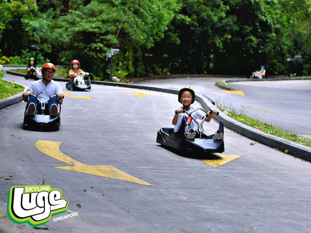 ✈️ A Short Getaway to Singapore with Skyline Luge & City Vibes🌆