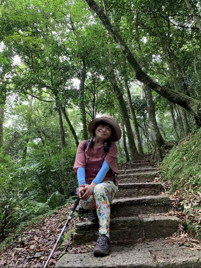 東眼山國家森林遊樂區散策及桃園瑞士鄉村覓美食