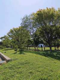 台中沙鹿鎮立公園公園旁的大型籃球場成為年輕人聚集的熱點