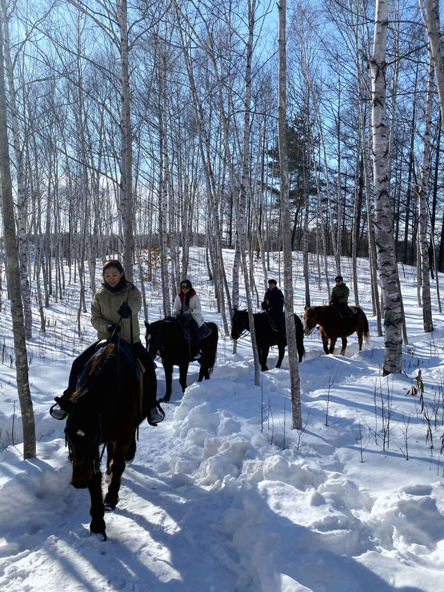 北海道旭川必體驗🐎夢幻雪地行程（老少咸宜）