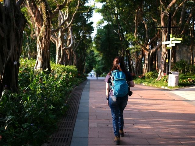 享受自然 . 大埔海濱公園