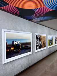 Spring to-do: Stroll with Art Displays