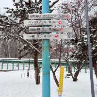 📍北海道小樽｜感受冬雪浪漫❄️｜吃喝玩樂打卡行程攻略📸