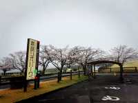 高千穗牧場