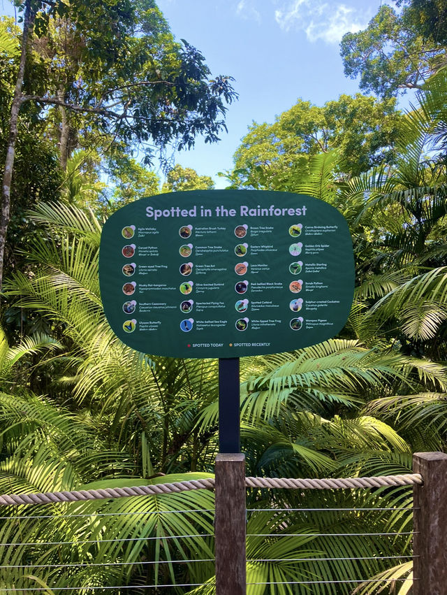 【キュランダ🇦🇺】スカイレール🚊