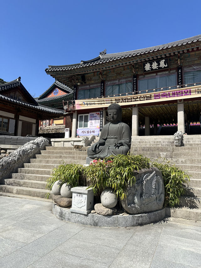 【韓国/大邱】日本人のプロが選んだ絶景30選のうちの一つ！